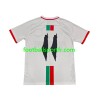 Tenue Club Deportivo Palestino Center Stripre Exterieur 2024-2025 Maillot de Foot